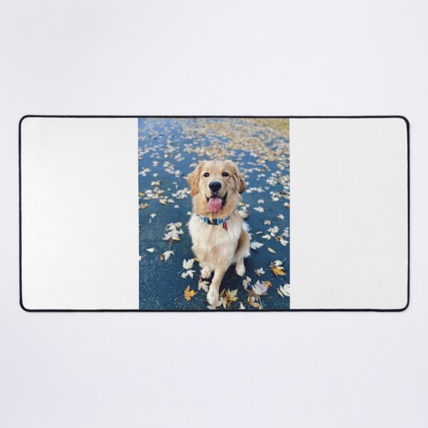 golden retriever mouse pads