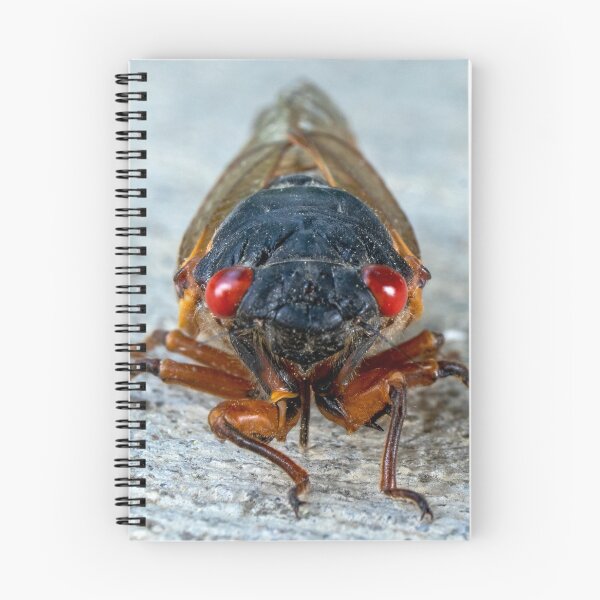 Item preview, 17-Year Periodical Cicada Face designed and sold by mark-bugs-org.