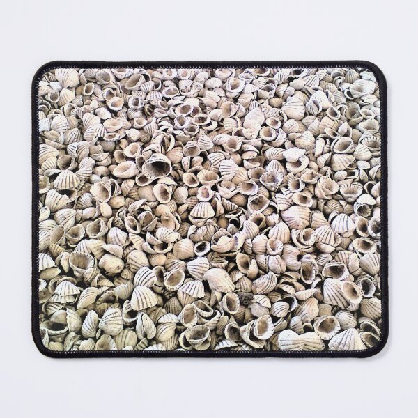 Item preview, Clam Sea Shells designed and sold by Tony Cisse.