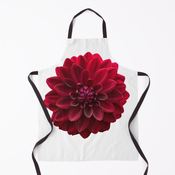 Item preview, Red Dahlia Flower Still Life Floral Photography designed and sold by CottoVerdi.
