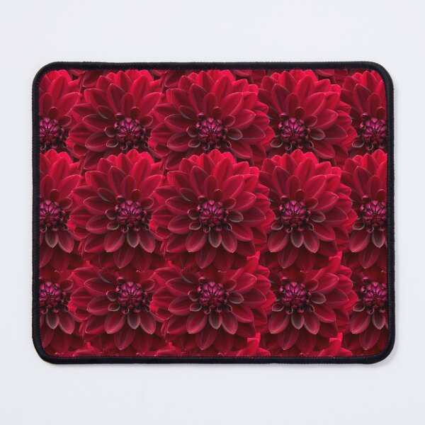 Item preview, Red Dahlia Flower Still Life Floral Photography designed and sold by CottoVerdi.