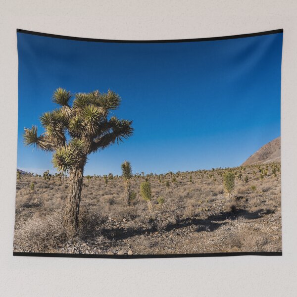 Item preview, A palm tree amid a field of like trees in Death Valley National Park designed and sold by OrcaNature.