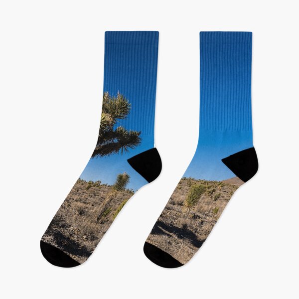Item preview, A palm tree amid a field of like trees in Death Valley National Park designed and sold by OrcaNature.