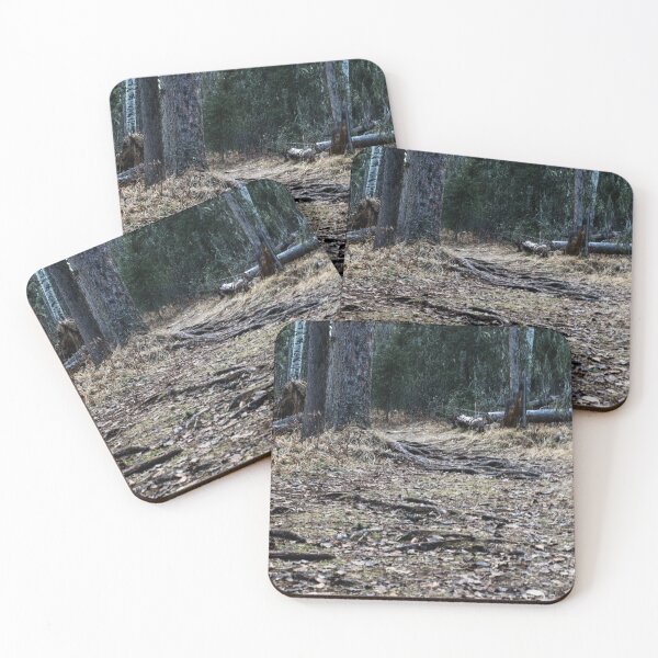 Item preview, Hike in the woods designed and sold by CanadianWild418.