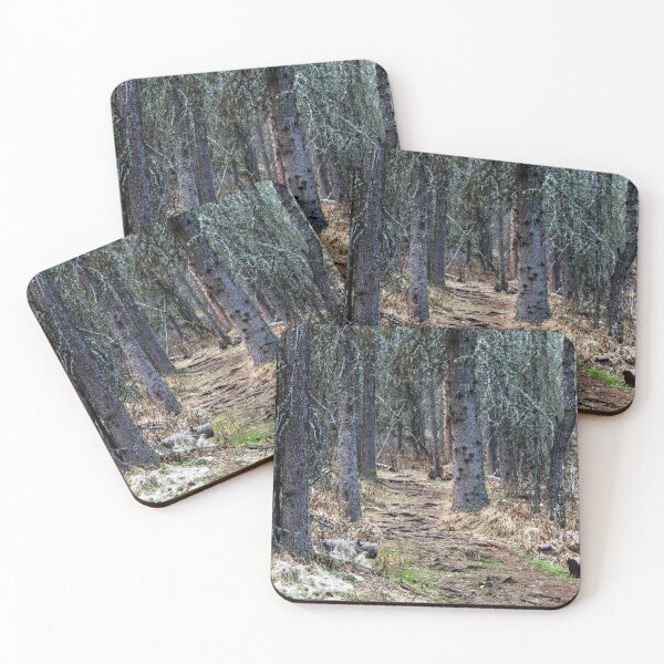 Item preview, Woodland trail designed and sold by CanadianWild418.