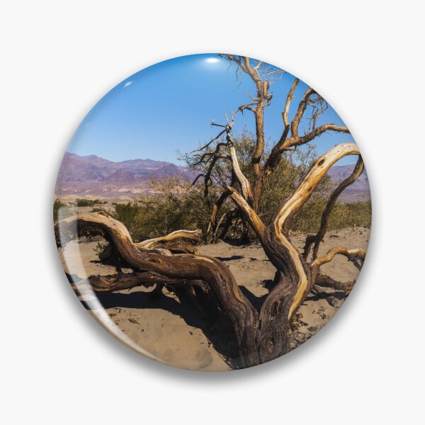 Item preview, Scraggly tree in the sand at the Mesquite Flat Sand Dunes of Death Valley National Park in California  Enlarge designed and sold by OrcaNature.