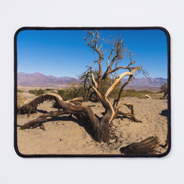 Item preview, Scraggly tree in the sand at the Mesquite Flat Sand Dunes of Death Valley National Park in California Enlarge designed and sold by OrcaNature.