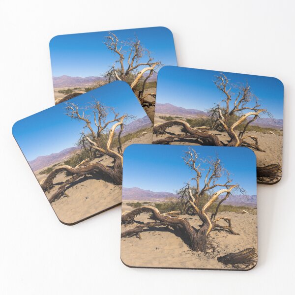 Item preview, Scraggly tree in the sand at the Mesquite Flat Sand Dunes of Death Valley National Park in California  Enlarge designed and sold by OrcaNature.
