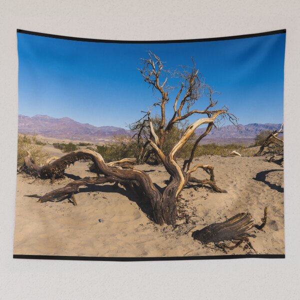 Item preview, Scraggly tree in the sand at the Mesquite Flat Sand Dunes of Death Valley National Park in California  Enlarge designed and sold by OrcaNature.