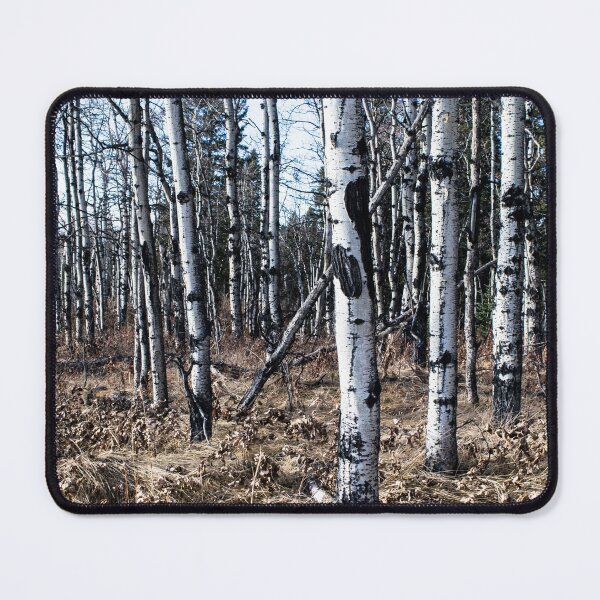 Item preview, Lost in the woods designed and sold by CanadianWild418.