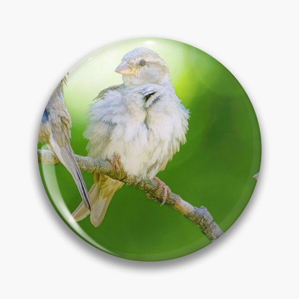 Item preview, Three Sparrows, Birds of a Feather designed and sold by AMacGPhilly.