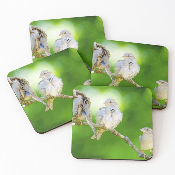 Item preview, Three Sparrows, Birds of a Feather designed and sold by AMacGPhilly.