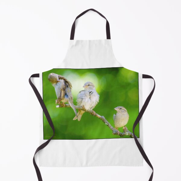 Item preview, Three Sparrows, Birds of a Feather designed and sold by AMacGPhilly.