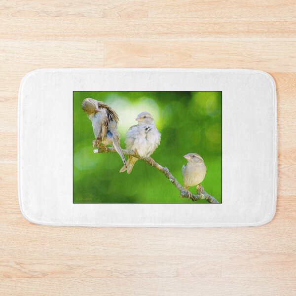Item preview, Three Sparrows, Birds of a Feather designed and sold by AMacGPhilly.