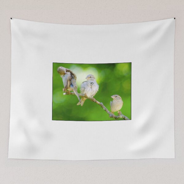 Item preview, Three Sparrows, Birds of a Feather designed and sold by AMacGPhilly.