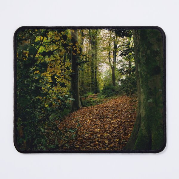 Item preview, Autumn in the woods designed and sold by Ann Biddlecombe.