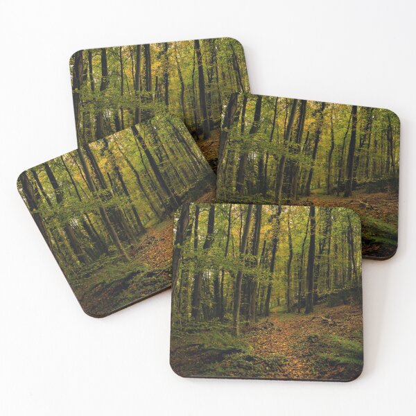 Item preview, The path designed and sold by Ann Biddlecombe.