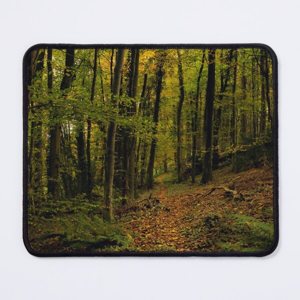 Item preview, The path designed and sold by Ann Biddlecombe.