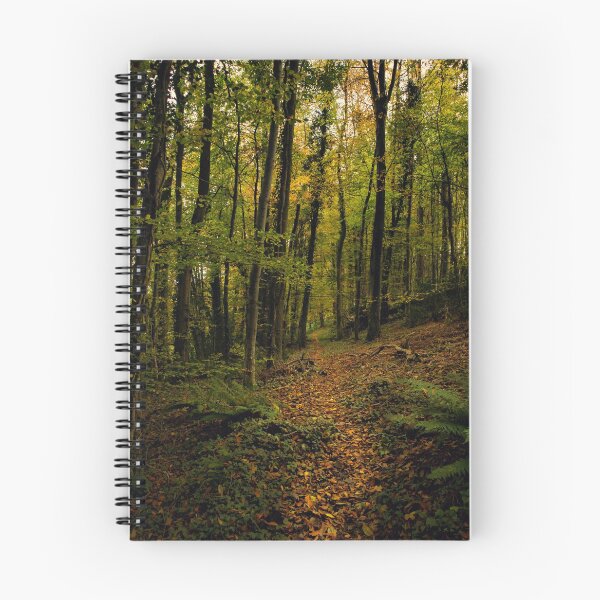 Item preview, The path designed and sold by Ann Biddlecombe.