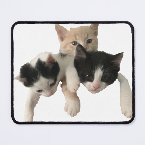 Item preview, Kitten Posy  designed and sold by joyhopefreeme.