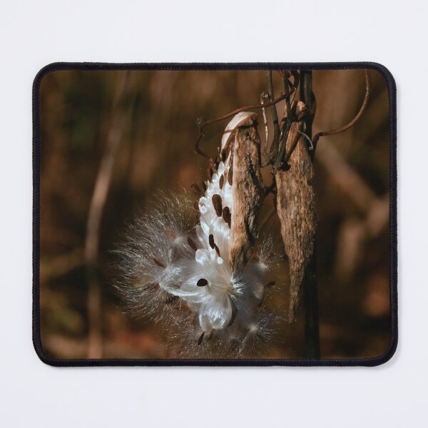 Item preview, Milkweed Seeds .... November!!! designed and sold by Poete100.