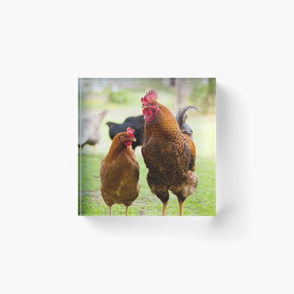 Item preview, Hen and cock designed and sold by Arletta Cwalina.