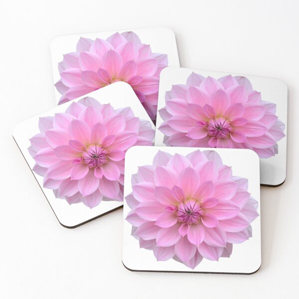 Item preview, Pink Dahlia Flower Still Life Floral Photography designed and sold by CottoVerdi.