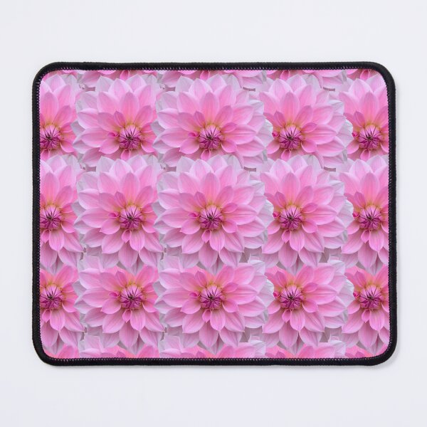 Item preview, Pink Dahlia Flower Still Life Floral Photography designed and sold by CottoVerdi.