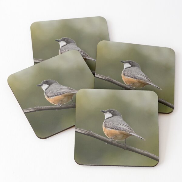 Item preview, Rufous Whistler designed and sold by David  Hibberd.