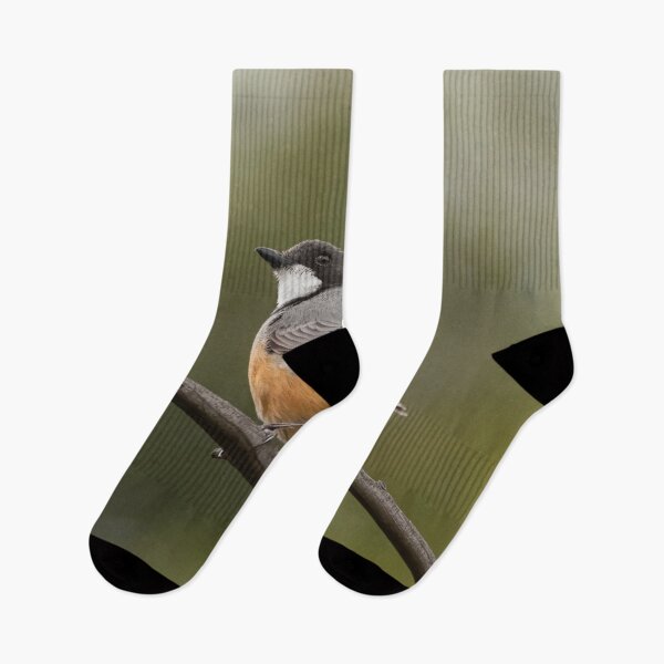Item preview, Rufous Whistler designed and sold by David  Hibberd.