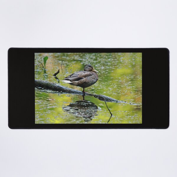 Item preview, Balance designed and sold by Debbie Oppermann.