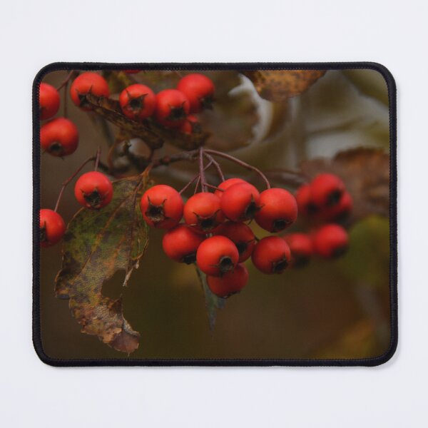 Item preview, Winter Cherries _ November!!! designed and sold by Poete100.