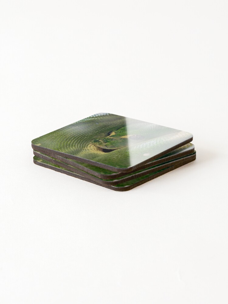 Thumbnail 4 of 5, Coasters (Set of 4), Green Tree Python designed and sold by EthanDecker.