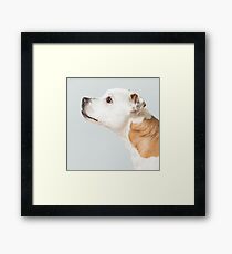 Sumi-e cushion Framed Print