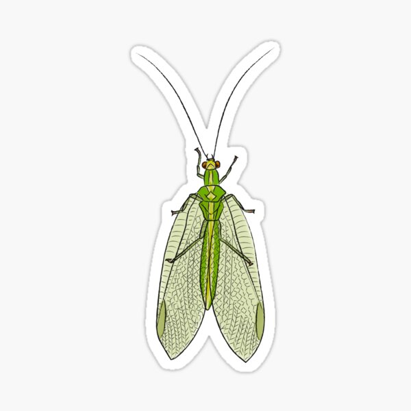 Item preview, Lacewing (side) designed and sold by pleasediana.