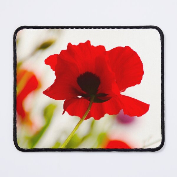 Item preview, A Red Poppy designed and sold by Barbara  Brown.