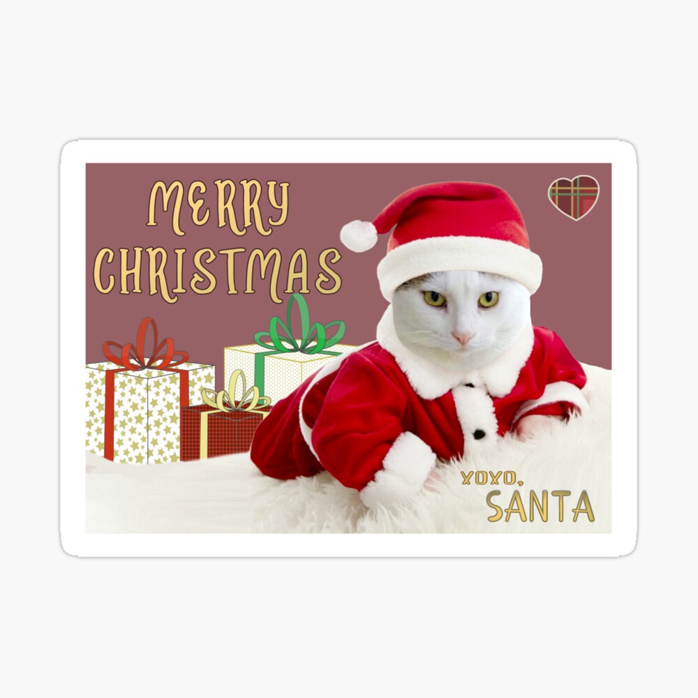 Funny Cat Santa Merry Christmas Love - Happy Holidays