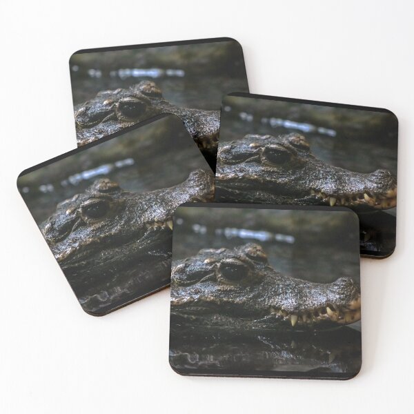 Item preview, African Dwarf Crocodile designed and sold by EthanDecker.