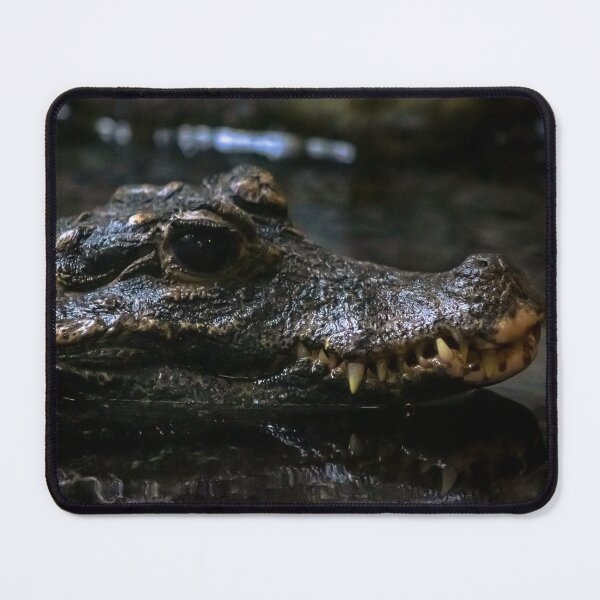 Item preview, African Dwarf Crocodile designed and sold by EthanDecker.