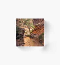 Desert Canyon Paradise - Coyote Gulch - Escalante, Utah Acrylic Block