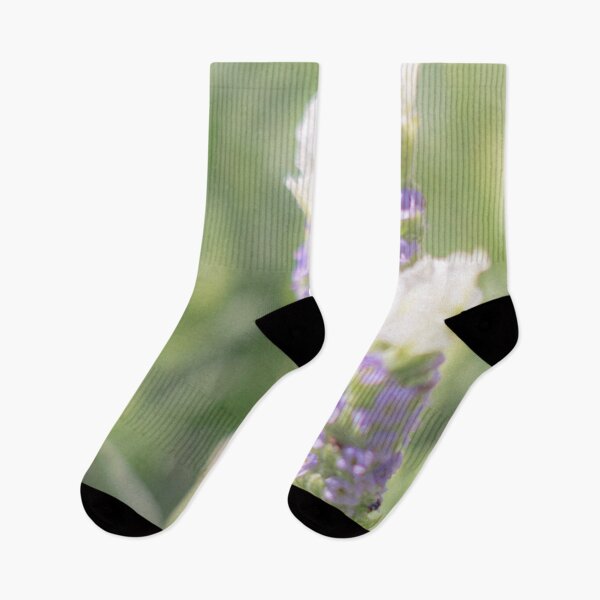 Item preview, Lavender designed and sold by ethanabey.