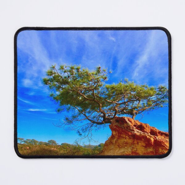 Item preview, Lone Torrey Pine designed and sold by Barbara  Brown.
