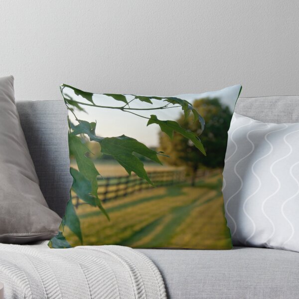 Item preview, Kentucky summer designed and sold by Storage.
