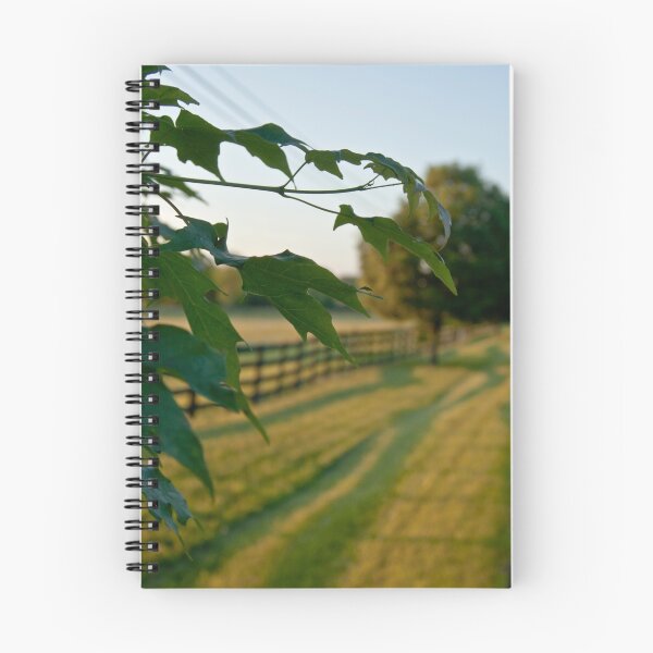 Item preview, Kentucky summer designed and sold by Storage.