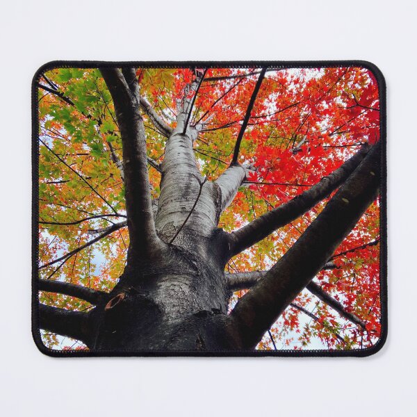 Item preview, Fallboulous designed and sold by Alike44.