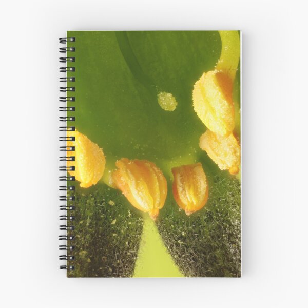 Item preview, Super macro view of Green Kangaroo Paw (Anigozanthos flavidus) flower designed and sold by NanaRusty.