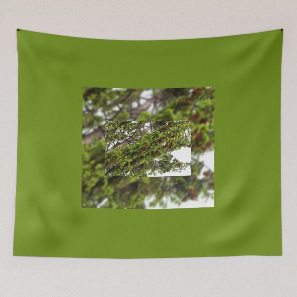 Item preview, Large spruce fresh shoots designed and sold by Arletta Cwalina.