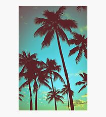 Vintage Tropical Palms Photographic Print