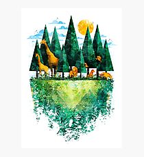 Geo Forest Photographic Print