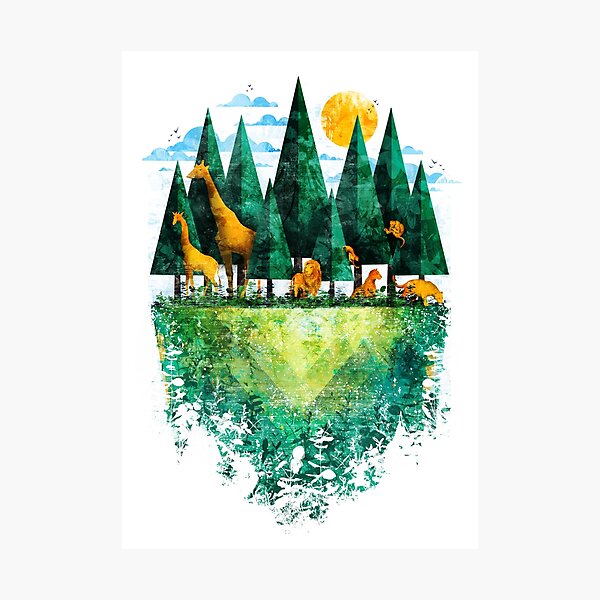 Geo Forest Photographic Print